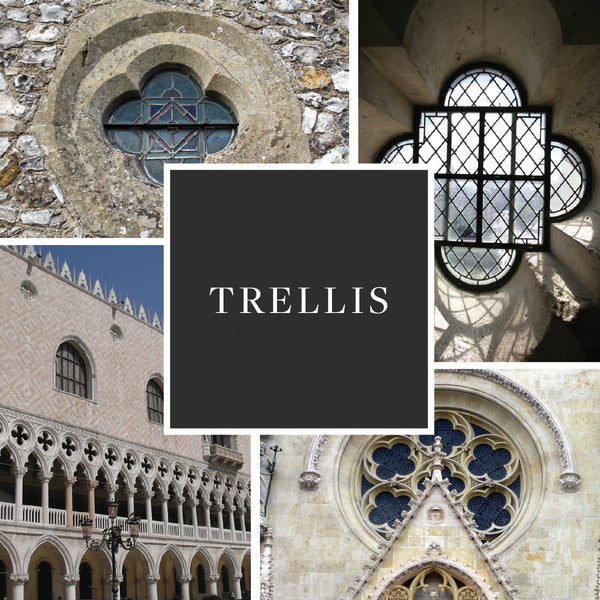 5 Things to Love About the Trellis Collection